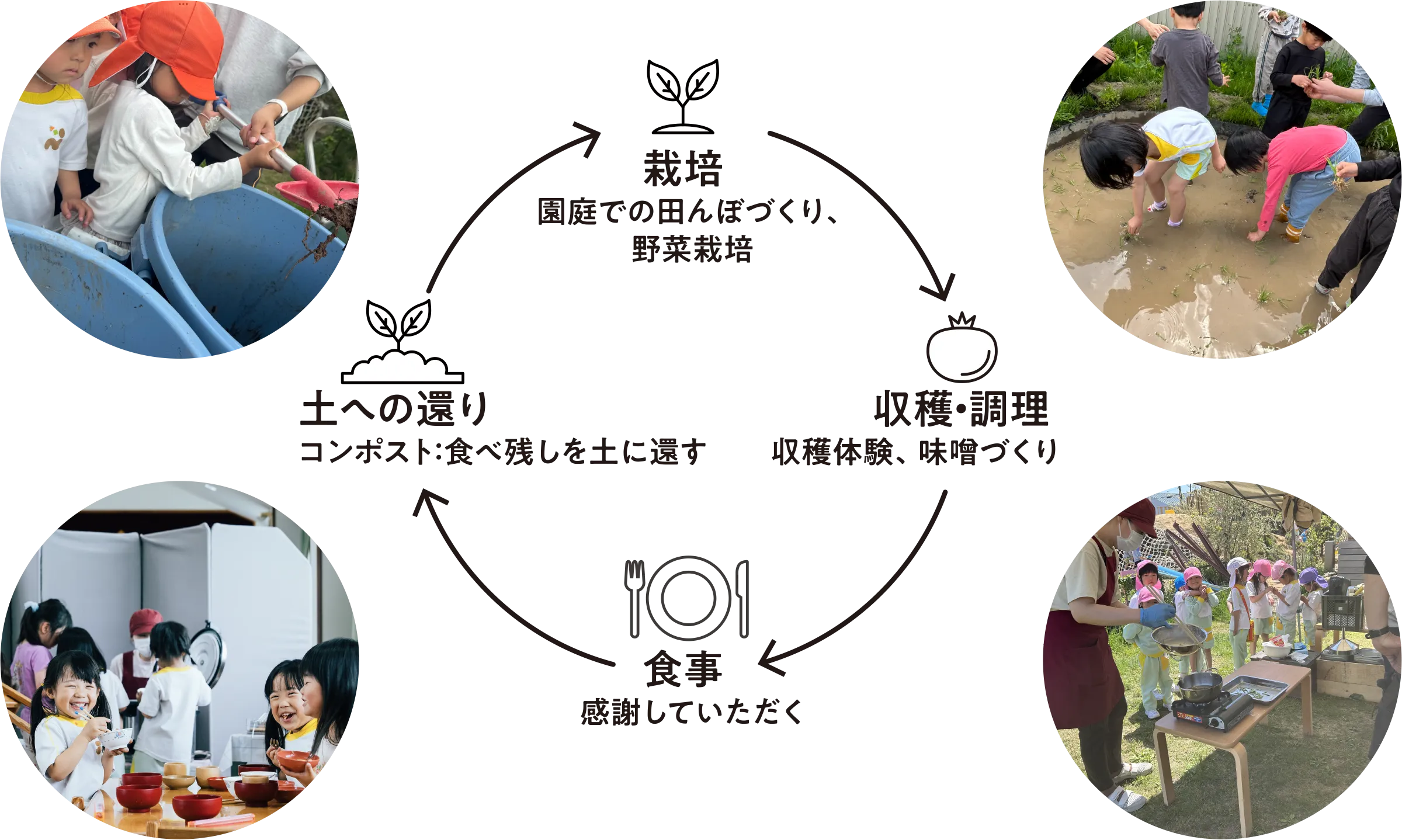 いのちの循環とSDGs