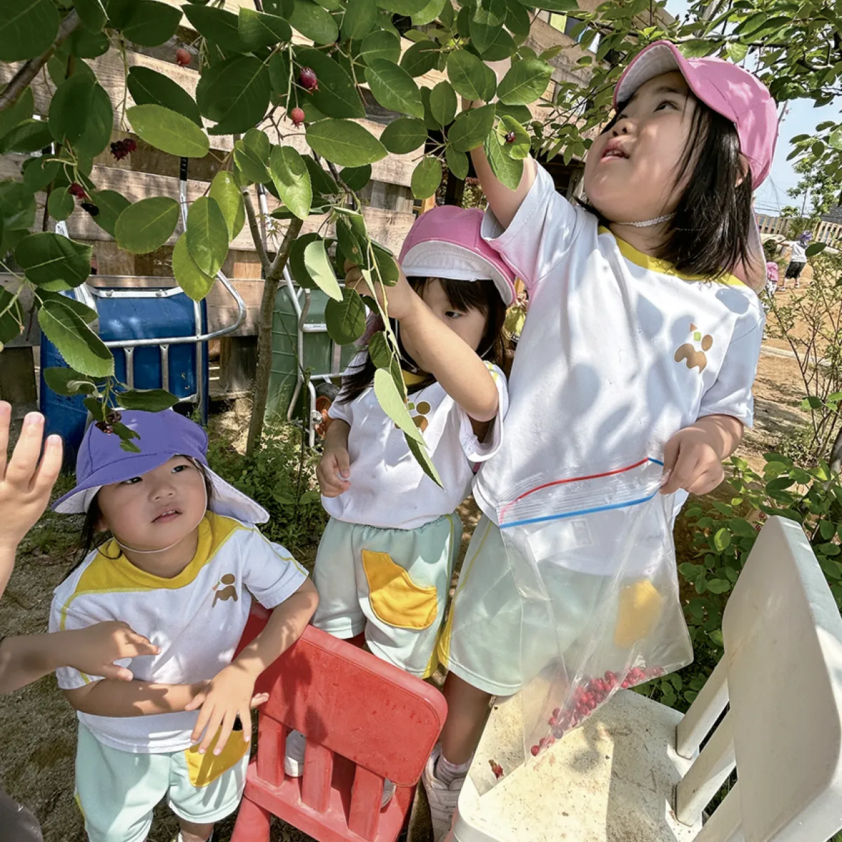 まちぐるみの保育