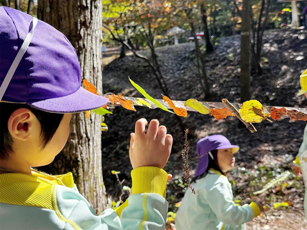 木育カリキュラム