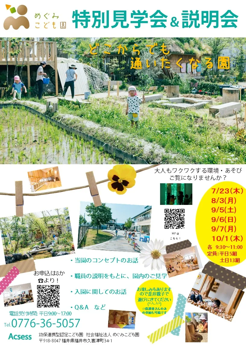 メディア
